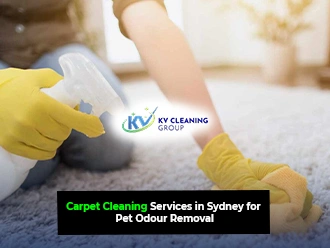 Commercial Carpet Odours Keep Coming Back