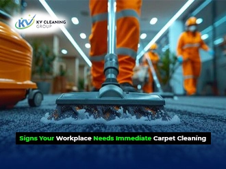 Needs Immediate Carpet Cleaning
