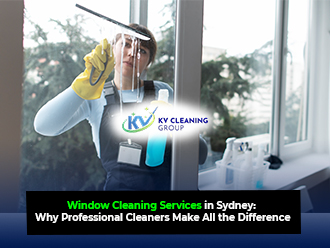Window Cleaning Services
